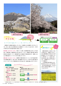 大山と桜