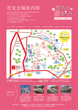 桜桜桜桜桜悠久山