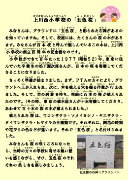 上川西 小学校 の「五色 桜 」