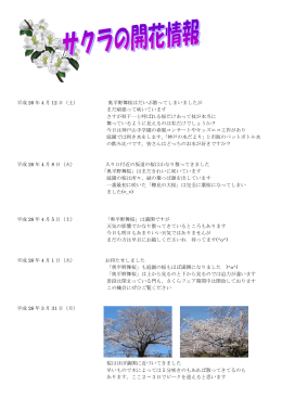 平成 26 年 4 月 12 日（土） 奥平野舞桜はだいぶ散っ