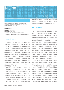 こちら - 分子精神医学講座