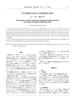 外生菌根菌の菌糸生長促進物質の探索 Searching of