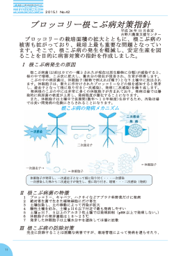 ブロッコリー根こぶ病対策指針