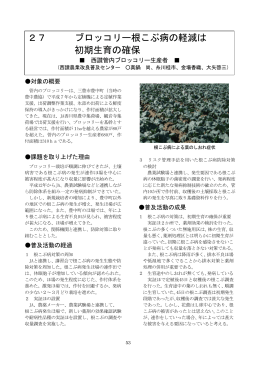 27 ブロッコリー根こぶ病の軽減は 初期生育の確保