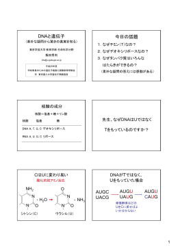 DNAと遺伝子 今日の話題 AUGC UACG AUGU UAUG