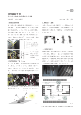 ダウンロード