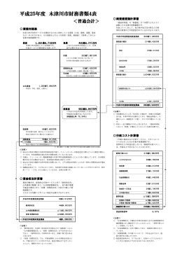 平成25年度財務書類（簡略版） [258KB pdfファイル]