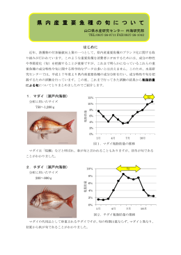 県内産重要魚種の旬について (PDF : 345KB)