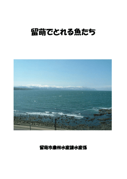留萌でとれる魚たち