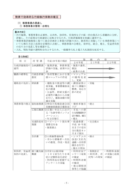 簡素で効率的な行政執行体制の確立