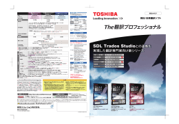 翻訳プロフェッショナル