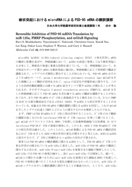 樹状突起における microRNA による PSD