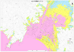標高マップ3「沿岸部・南部川河口付近拡大図」