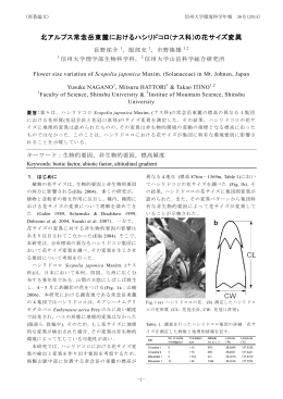 北アルプス常念岳東麓におけるハシリドコロ(ナス科