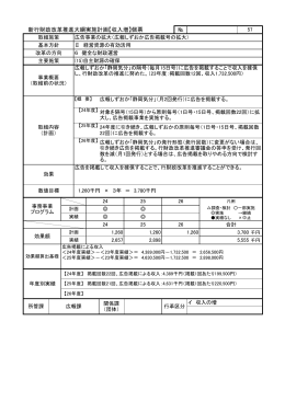 新行財政改革推進大綱実施計画【収入増】個票