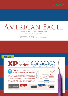 アメリカンイーグル ハンドインスツルメント