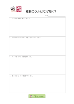 植物のツルはなぜ巻く？