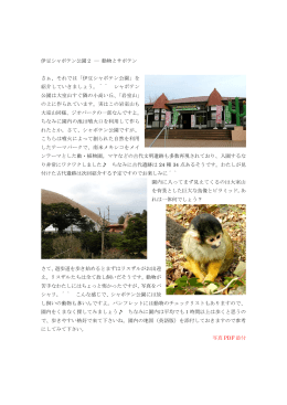 伊豆シャボテン公園 - Shizuoka Guide