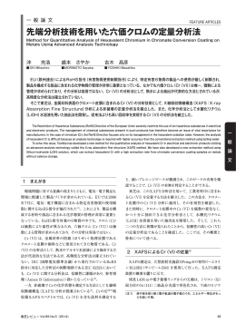 先端分析技術を用いた六価クロムの定量分析法(328KB／PDF