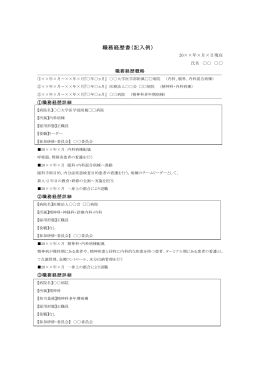 職務経歴書の記載例：PDF