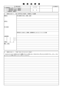 02 職務経歴書(平成28年）