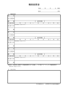 職務経歴書 - 宜野湾市