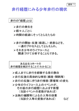 非行経歴にみる少年非行の現状