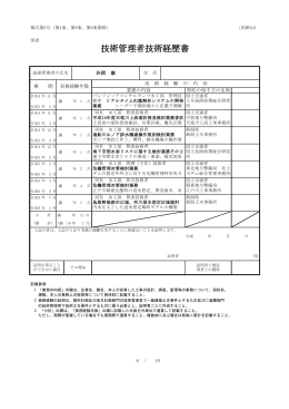 技術管理者技術経歴書