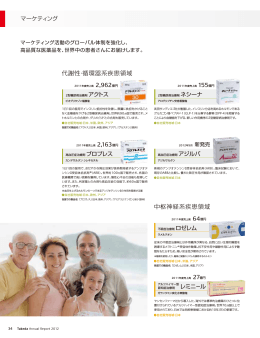 マーケティング 主力製品