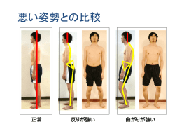 悪い姿勢との比較