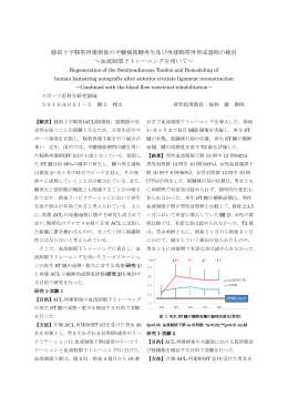 膝前十字靭帯再建術後の半腱様筋腱再生及び再建靭帯再形成過程の