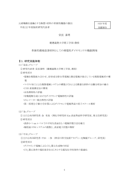 栄長 泰明 革新的環境改善材料としての導電性ダイヤモンドの機能開発