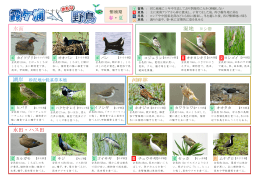 霞ヶ浦にすむおもな野鳥 - 茨城県霞ケ浦環境科学センター