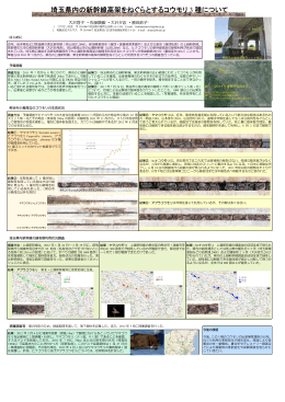 埼玉県内の新幹線高架をねぐらとするコウモリ 種について 3