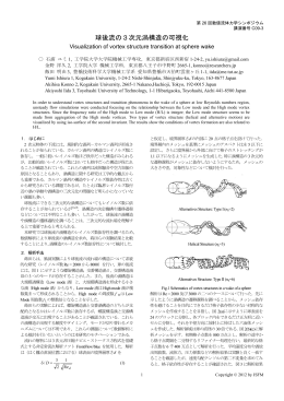 球後流の3次元渦構造の可視化 石浦ユミ（工学院大）