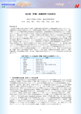 造血器（骨髄）組織診断の免疫染色 免疫染色玉手箱 診断