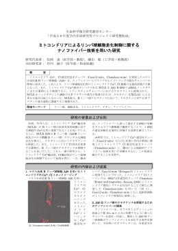 ミトコンドリアによるリンパ球細胞走化制御に関する ナノファイバー技術を