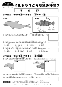 イルカやクジラは魚の仲間？
