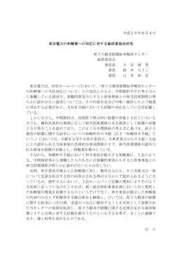 東京電力の和解案への対応に対する総括委員会所見 （PDF:65KB）