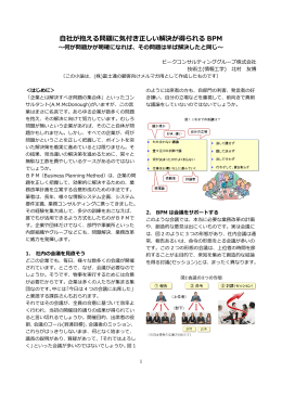 自社が抱える問題に気付き正しい解決が得られる BPM