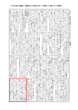 110526桜内議員（継続性の原則否定＋弁護士の連れ去り教唆）
