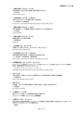 ベトナム語 [PDFファイル／917KB]