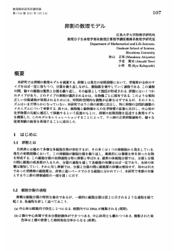 卵割の数理モデル (非線形現象の数理解析と実験解析)