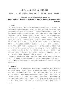 2価イオンを導入した DNA の電子状態