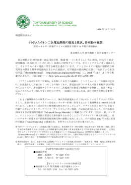 ナトリウムイオン二次電池開発の歴史と現状、将来動向