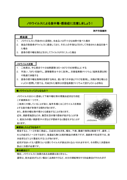 ノロウイルス予防パンフレット（一般の方用）（PDF形式：207KB）