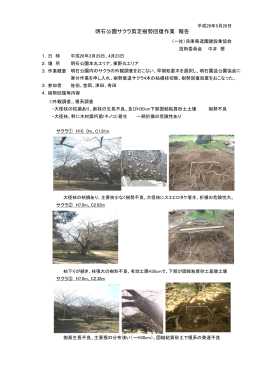 140619明石公園サクラ樹勢回復レポ - 一般社団法人 兵庫県造園建設