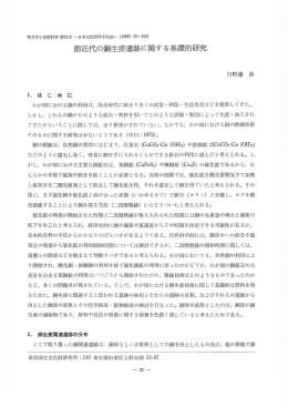 前近代の銅生産遺跡に関する基礎的研究