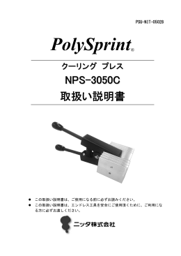 PolySprint