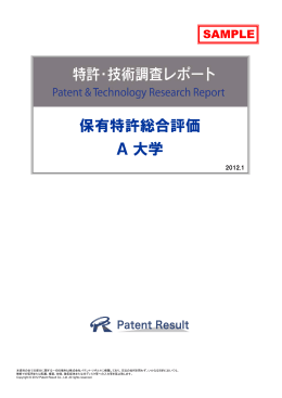 保有特許総合評価 A大学